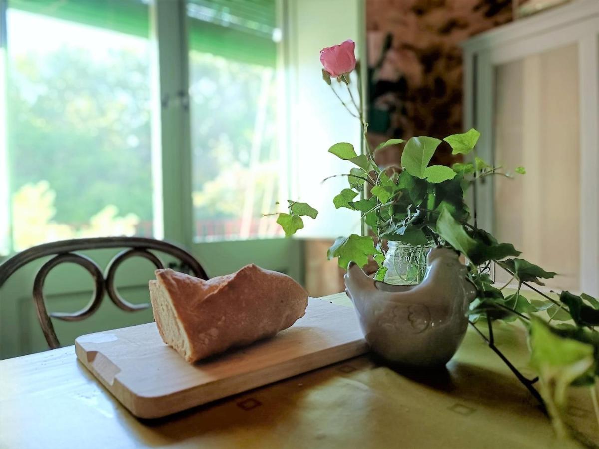 Vivalidays Casa Rural Anna Mieres Gerona Ngoại thất bức ảnh